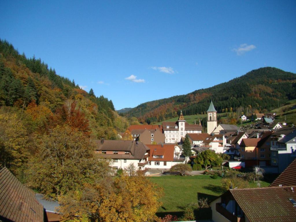 Hotel Hirsch Bad Peterstal-Griesbach Bagian luar foto